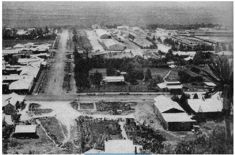 A view of Ladysmith, 1899