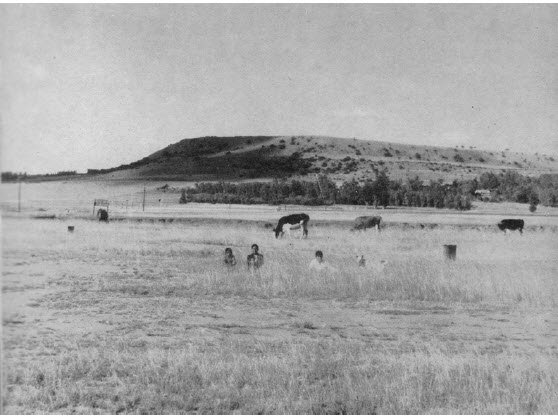Scene of Boer Battle
